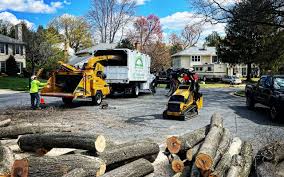 Best Pest Control for Lawns  in Wellington, TX