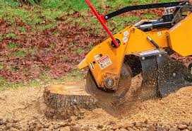 Best Fruit Tree Pruning  in Wellington, TX