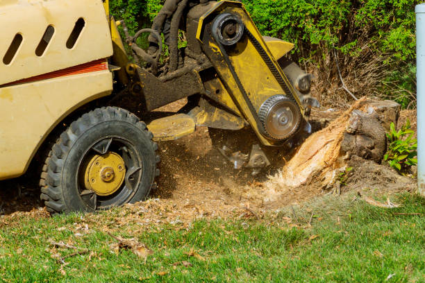 Best Artificial Turf Installation  in Wellington, TX