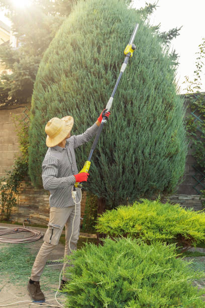 Best Aeration Services  in Wellington, TX